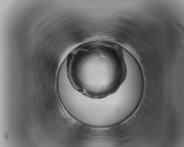X0000103241296200809041038