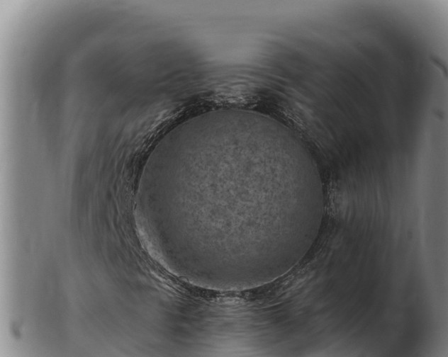 X0000103241297200809041037