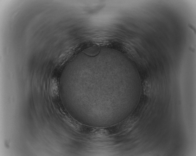 X0000103241298200809041037