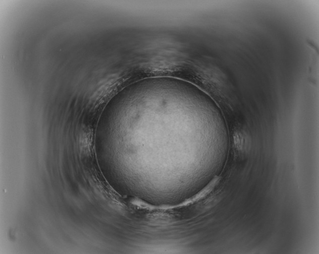 X0000103241300200809041037