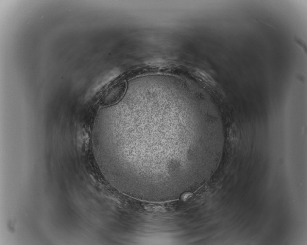 X0000103241302200809041037
