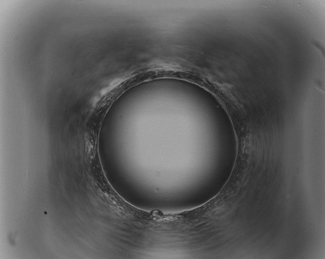 X0000103241303200809041037