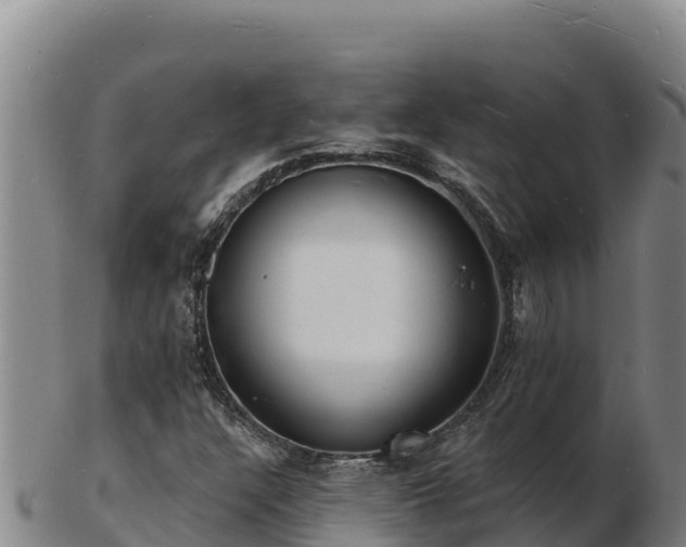 X0000103241304200809041037