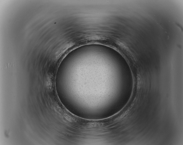 X0000103241305200809041037
