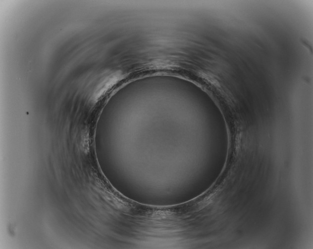 X0000103241306200809041037
