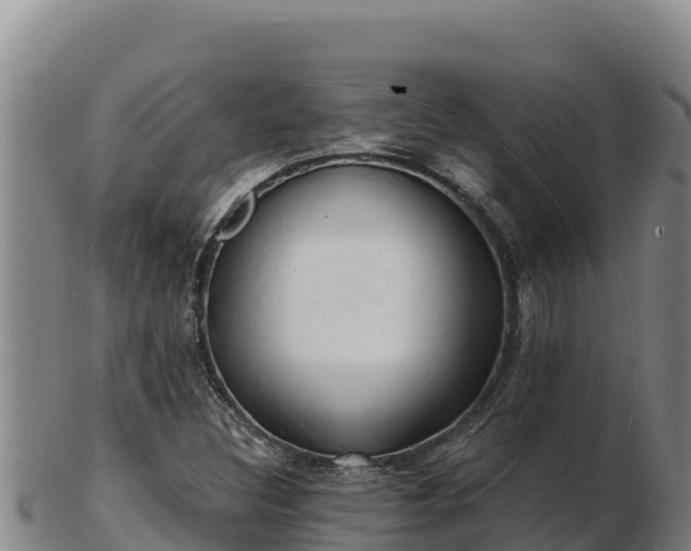 X0000103241308200809041037