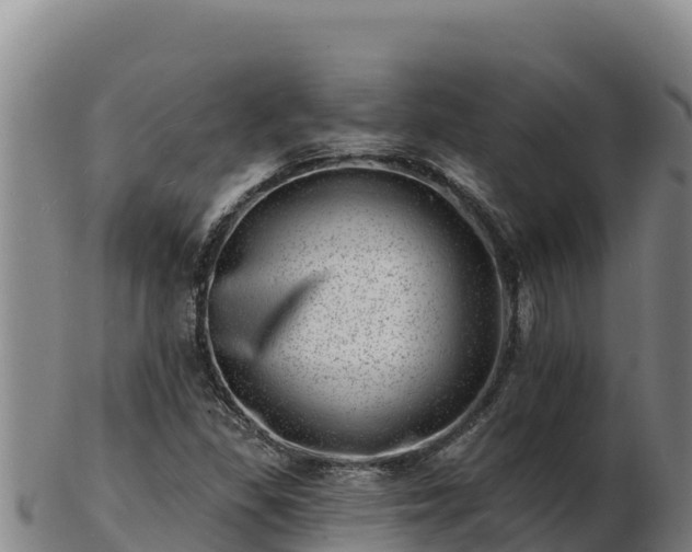 X0000103241309200809041037