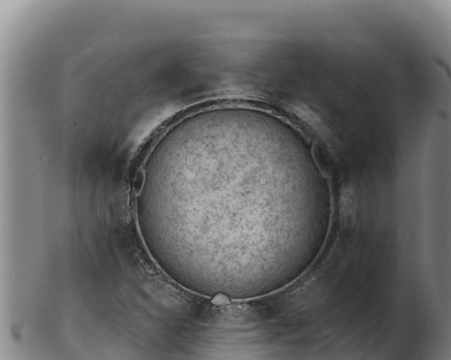 X0000103241310200809041037