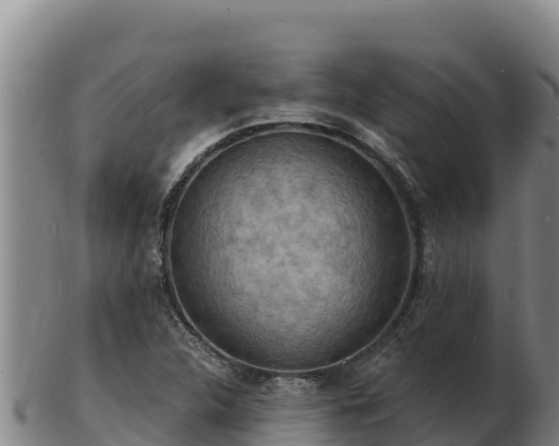 X0000103241312200809041038