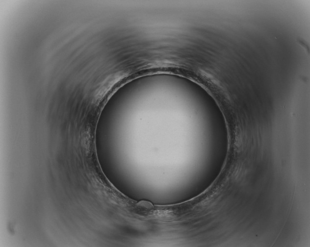 X0000103241313200809041038