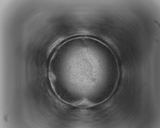 X0000103241318200809041038