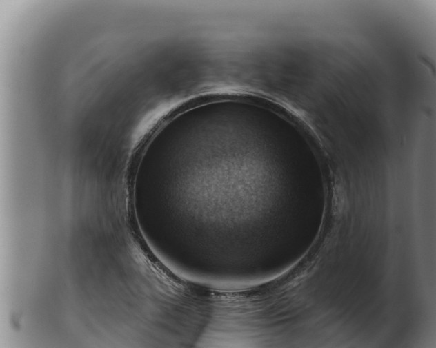 X0000103241319200809041038
