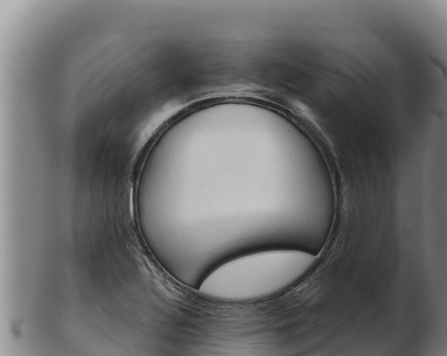 X0000103241320200809041038