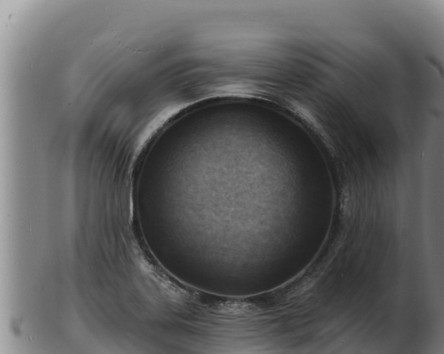 X0000103241323200809041038