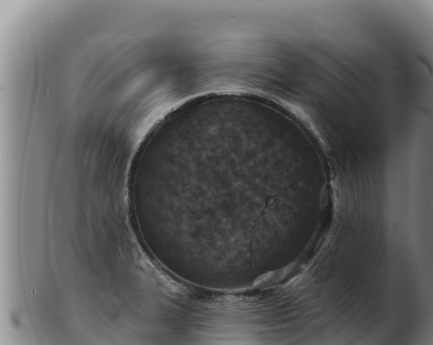 X0000103241327200809041038