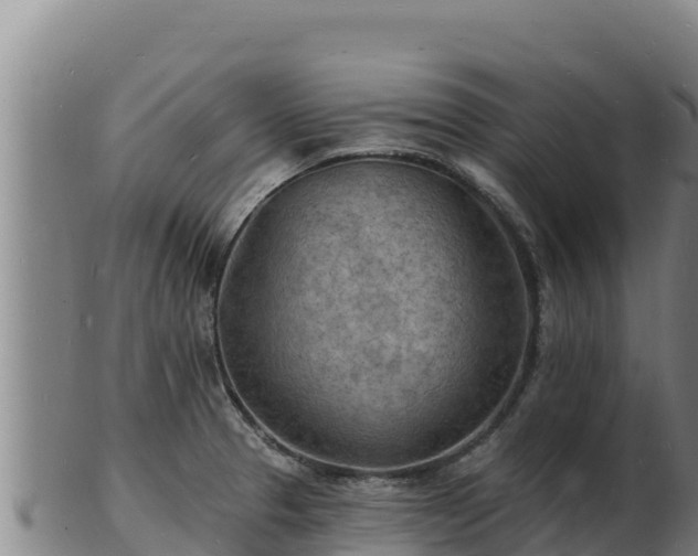X0000103241329200809041038