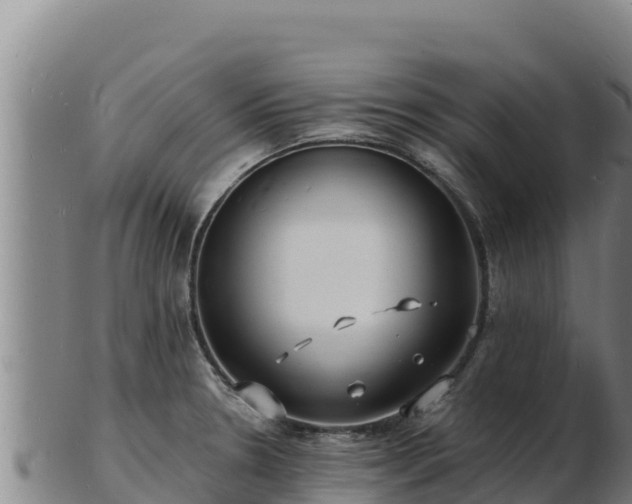 X0000103241330200809041038