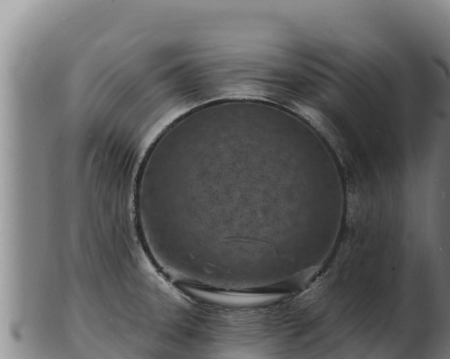 X0000103241331200809041038