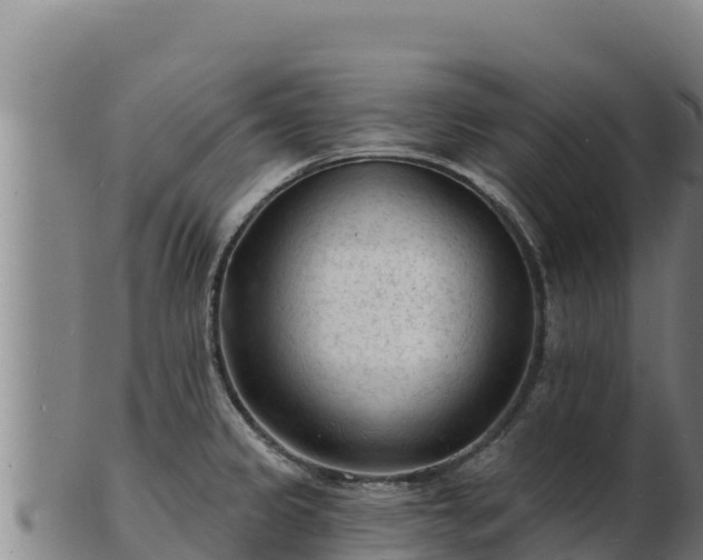 X0000103241333200809041038