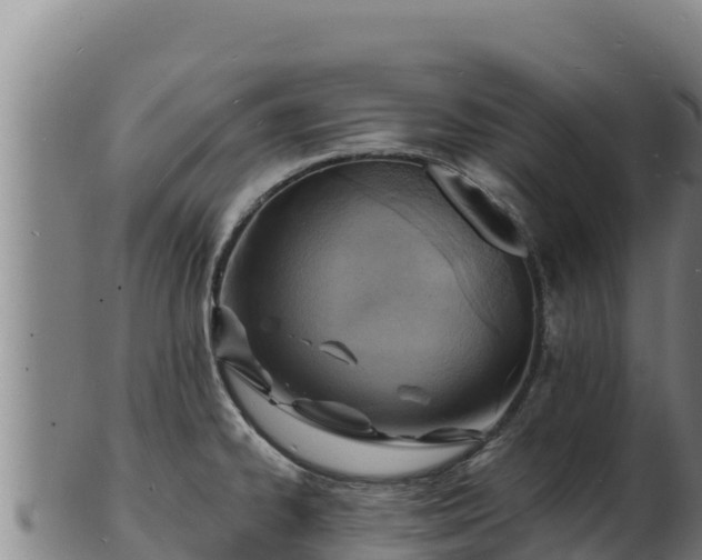 X0000103241334200809041038