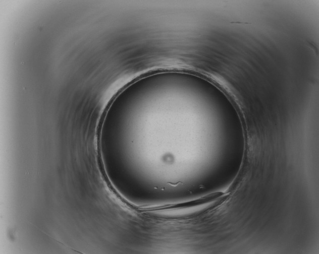 X0000103241335200809041038