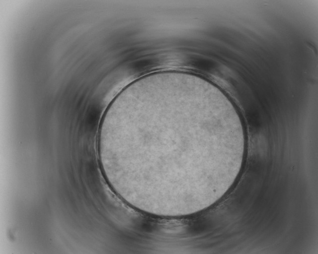 X0000103241338200809041038