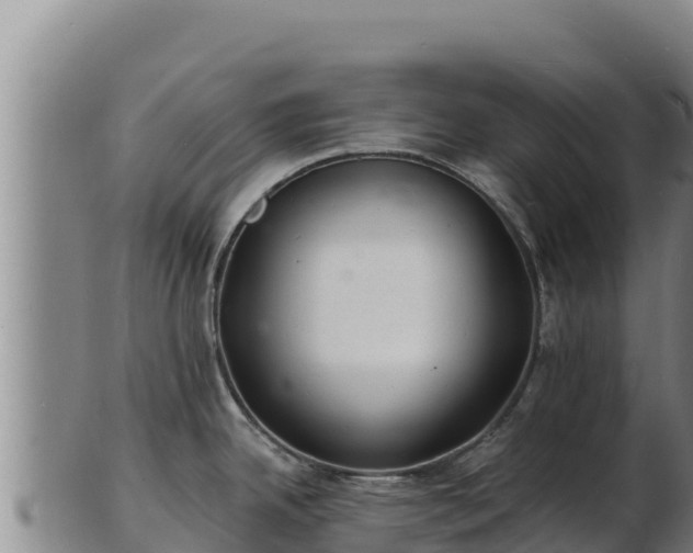 X0000103241342200809041038