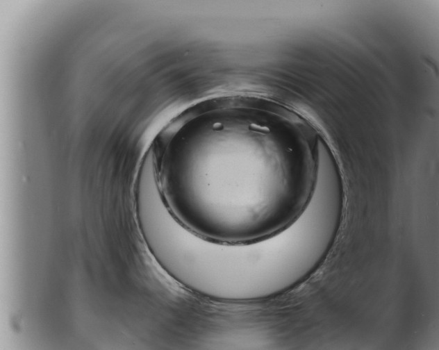 X0000103241344200809041038