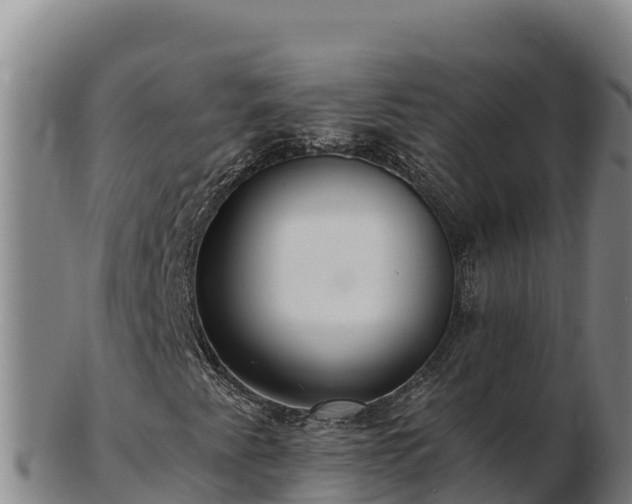 X0000103241345200809041037