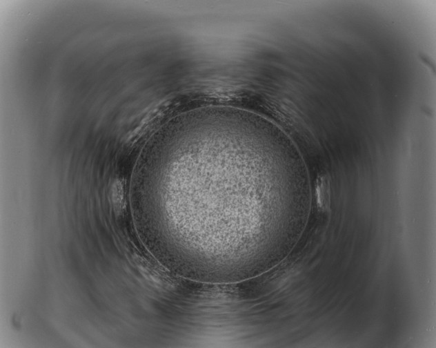 X0000103241347200809041037