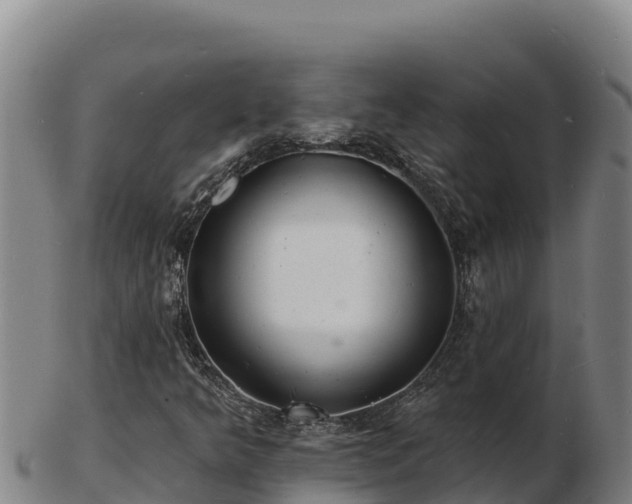 X0000103241349200809041037