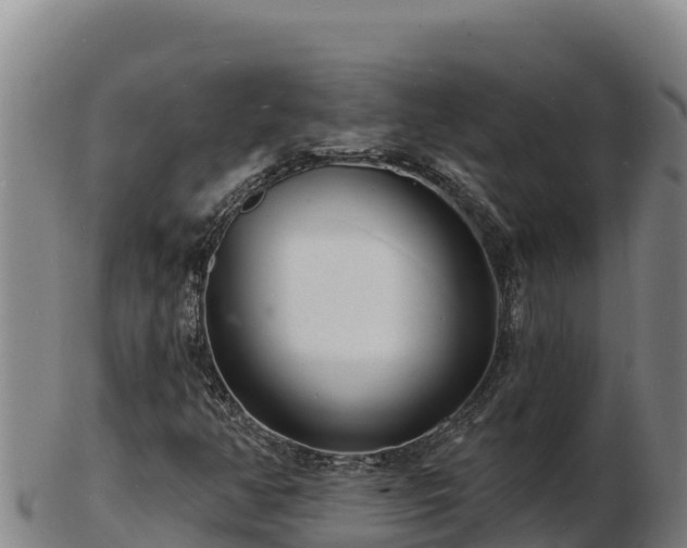 X0000103241350200809041037