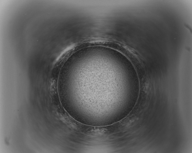 X0000103241351200809041037