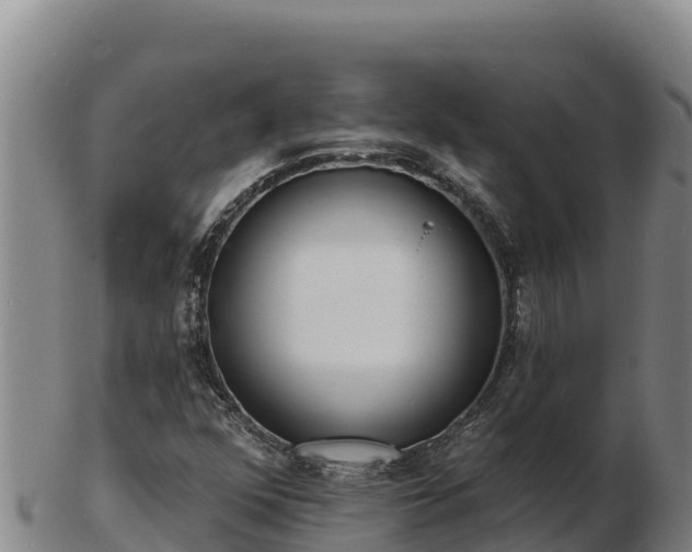 X0000103241352200809041037