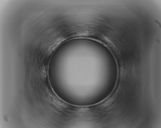 X0000103241353200809041037