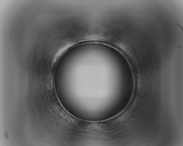 X0000103241358200809041037