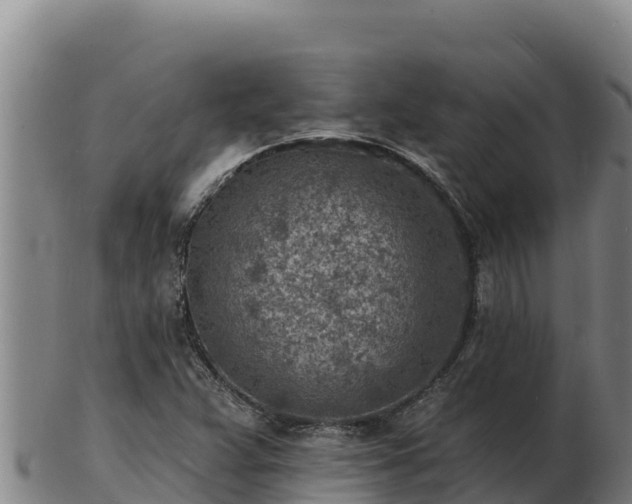 X0000103241359200809041037