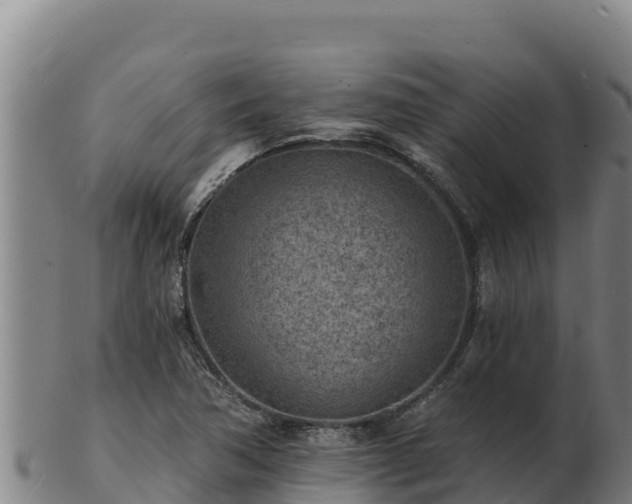 X0000103241362200809041037