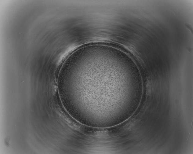 X0000103241363200809041037