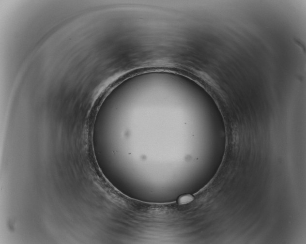 X0000103241364200809041037