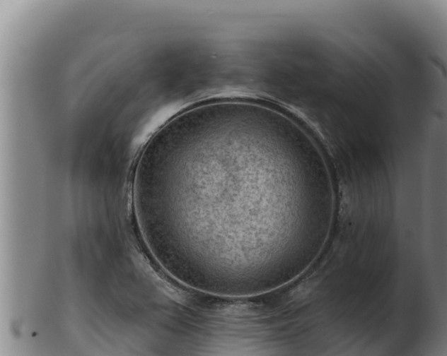 X0000103241367200809041037