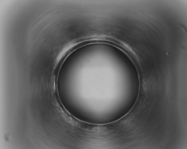 X0000103241368200809041037