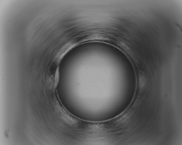 X0000103241369200809041037