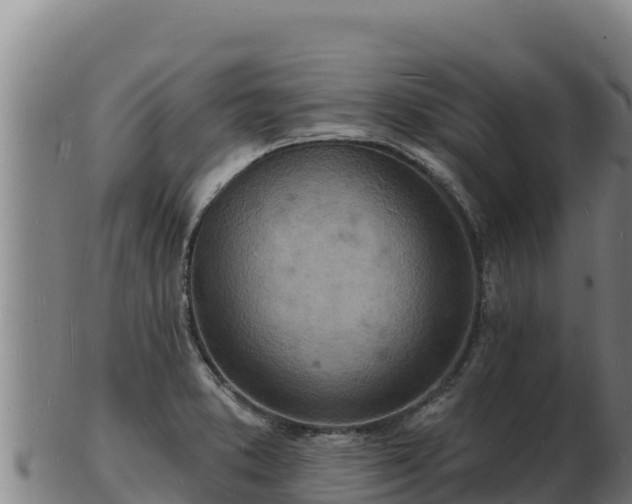 X0000103241373200809041037
