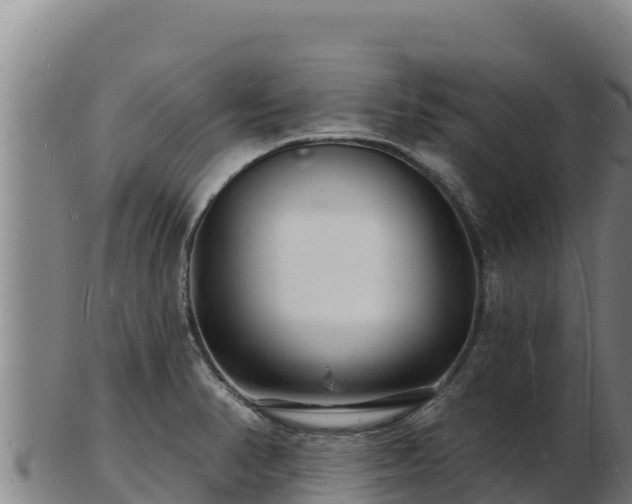 X0000103241374200809041037