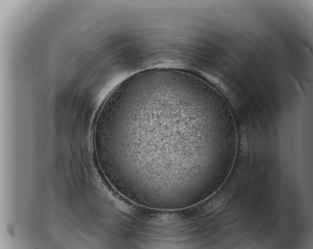 X0000103241375200809041037