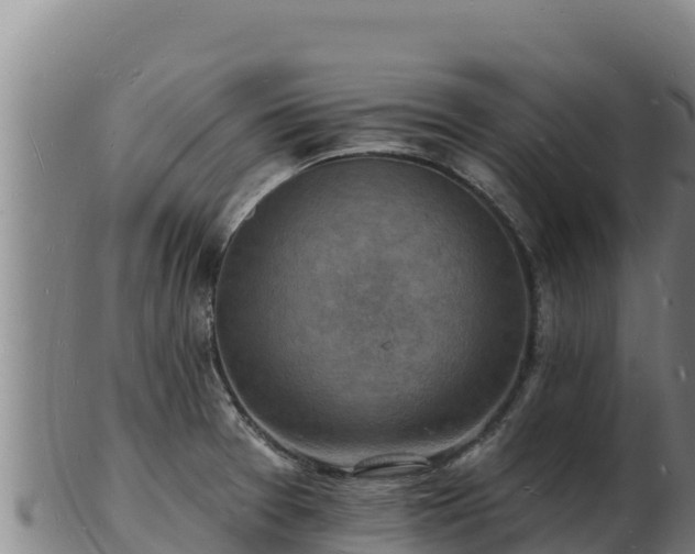 X0000103241377200809041037