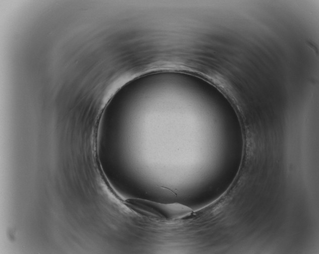 X0000103241382200809041037