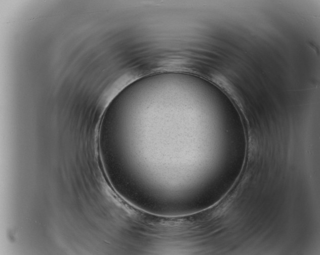 X0000103241386200809041037