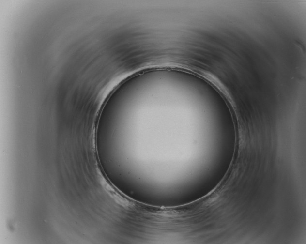 X0000103241388200809041037